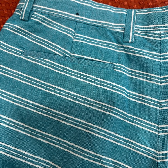 Banana Republic Turquoise White Stripes Men’s Flat Front Shorts Size: 34 $70 🩳 - Picture 3 of 11